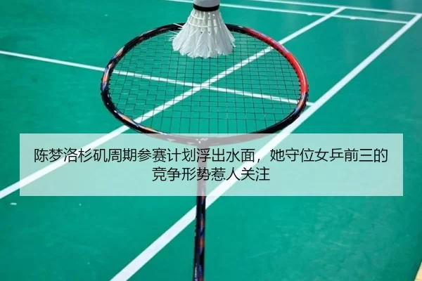 chen-meng-luo-shan-ji-zhou-qi-can-sai-ji-hua-fu-chu-shui-mian-ta-shou-wei-nv-ping-qian-san-de-jing-zheng-xing-shi-re-2-876.jpg
